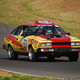 Illustration for article titled The Top 108 Lemons of the Goin For Broken 24 Hours of LeMons